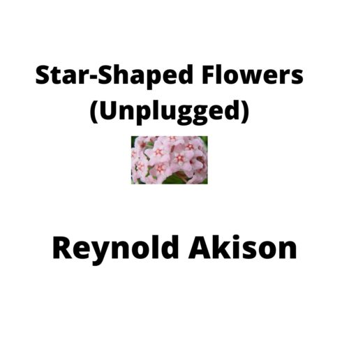 My New Song Release: Star-Shaped Flowers (Unplugged)